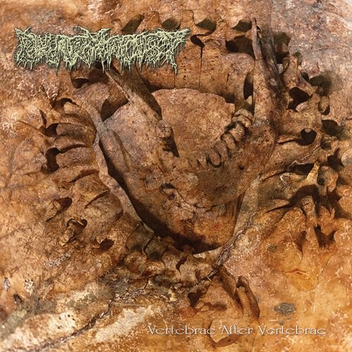 PHARMACIST libera mais uma música de “Vertebrae After Vertebrae”